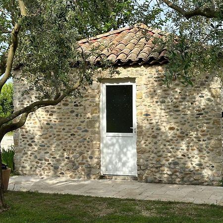 Maisonnette Independante Au Calme Dans Un Grand Jardin Châteauneuf-du-Rhône Εξωτερικό φωτογραφία