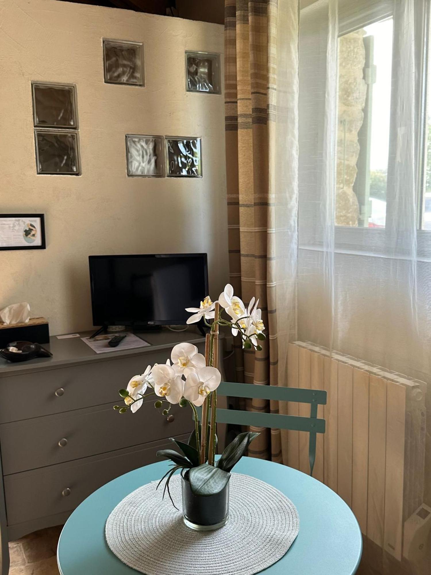 Maisonnette Independante Au Calme Dans Un Grand Jardin Châteauneuf-du-Rhône Εξωτερικό φωτογραφία