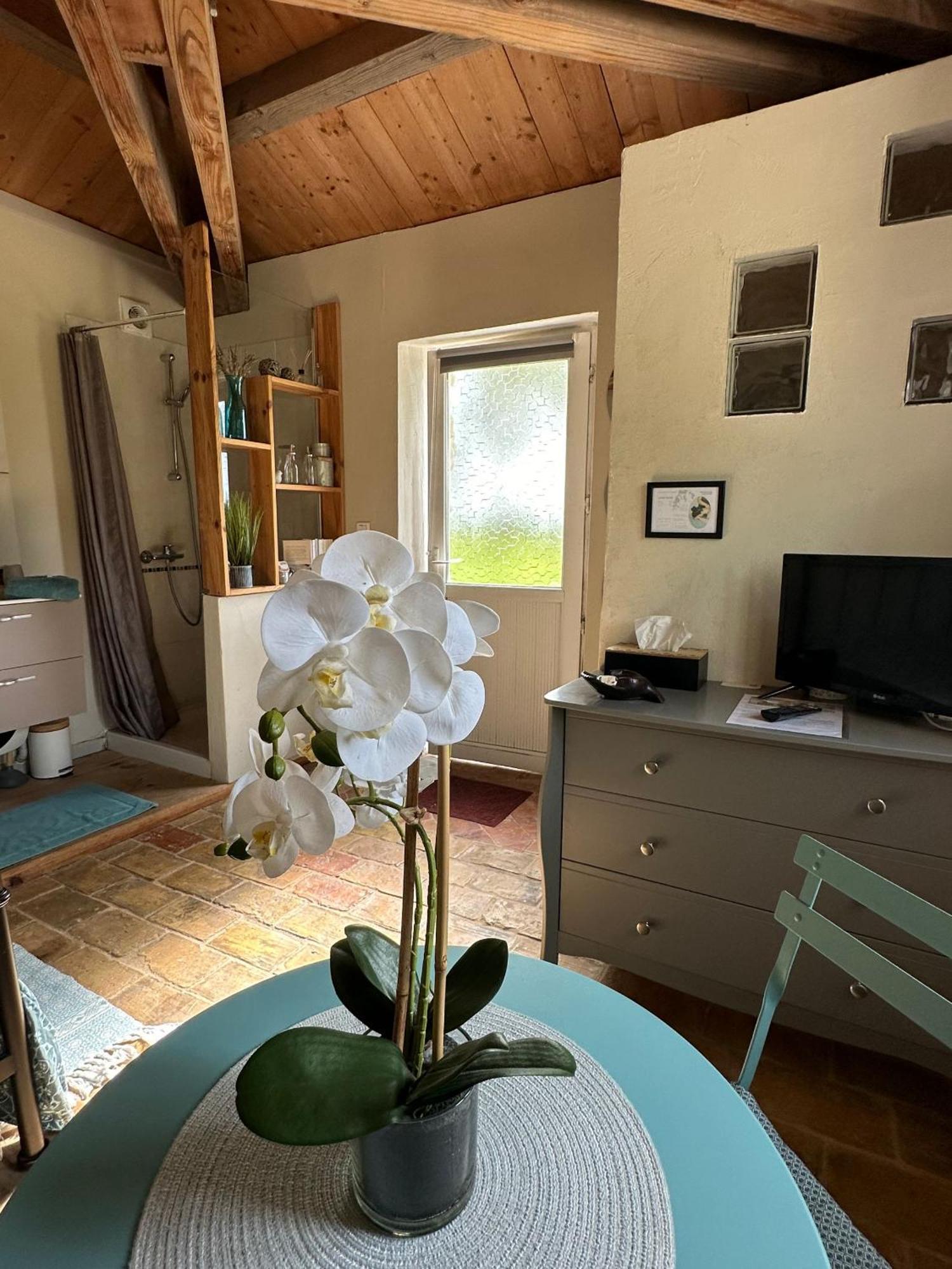 Maisonnette Independante Au Calme Dans Un Grand Jardin Châteauneuf-du-Rhône Εξωτερικό φωτογραφία