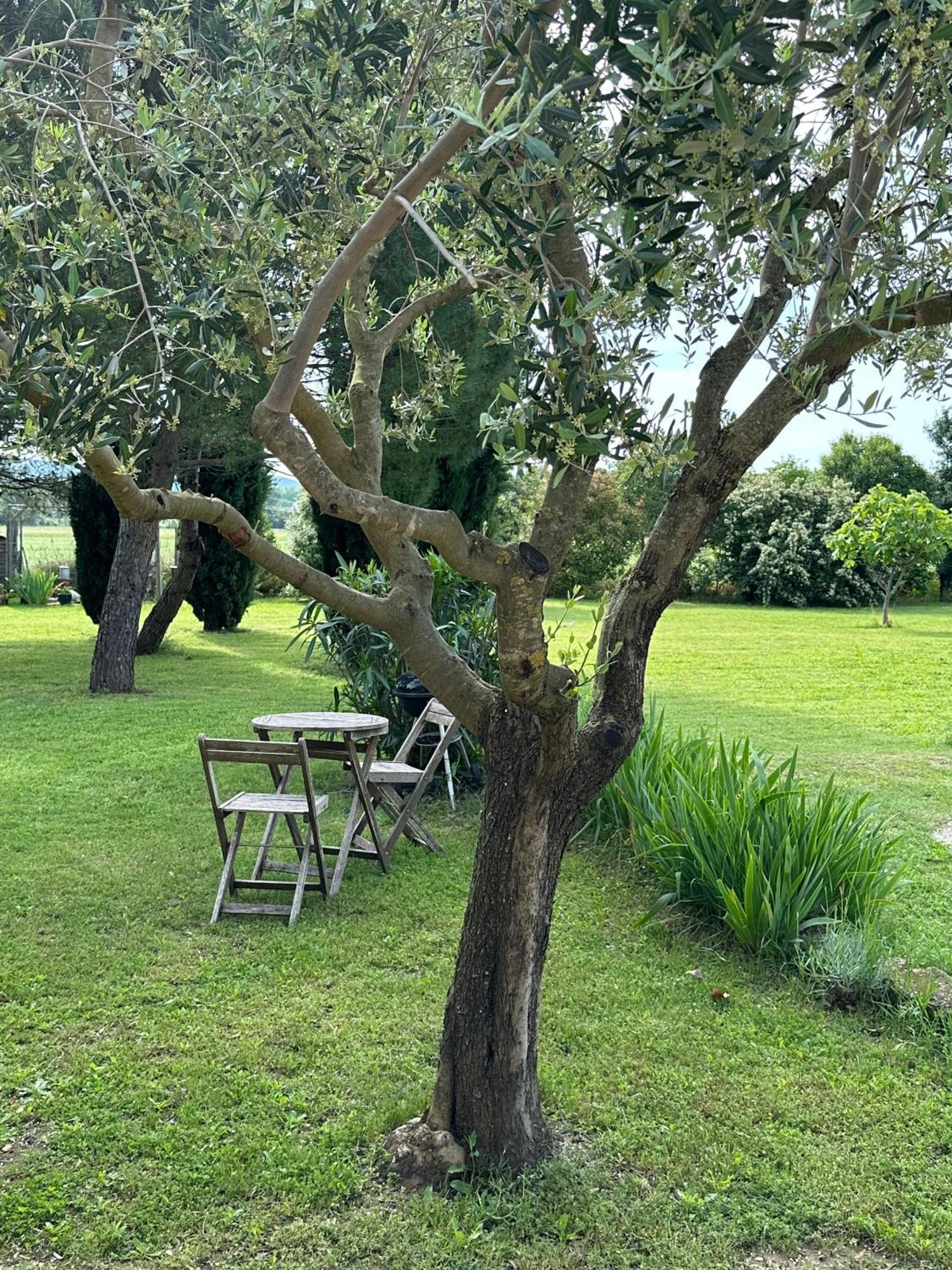 Maisonnette Independante Au Calme Dans Un Grand Jardin Châteauneuf-du-Rhône Εξωτερικό φωτογραφία